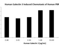 QP5277 Galectin-3 / LGALS3