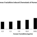 QP5299 Fractalkine / CX3CL1