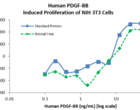 QP5318 PDGF-B