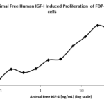 QP5347 IGF1 Isoform 2