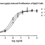 QP5350 Leptin