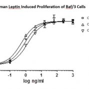 QP5350 Leptin