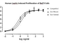 QP5350 Leptin