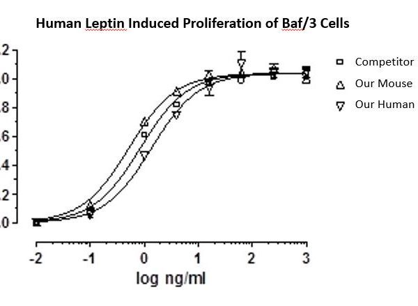 QP5350 Leptin