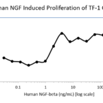 QP5351 beta-NGF / Beta-NGF