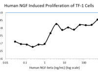 QP5351 beta-NGF / Beta-NGF