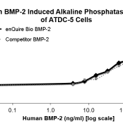 enQuire Bio QP5363 Human BMP2 activity in Alkaline Phophatase production by ATDC-5 Cells. Competitor BMP2 from R&D Systems.