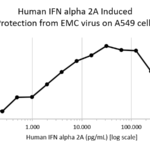 QP5364 Interferon alpha 2a