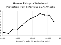 QP5364 Interferon alpha 2a