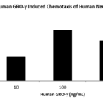 QP5378 IFNG / Interferon Gamma