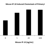 QP5448 CXCL10 / Crg-2