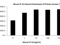 QP5448 CXCL10 / Crg-2