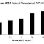 QP5449 CCL2 / MCP-1 / MCP1