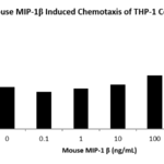 QP5452 CCL4 / MIP1B