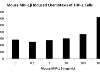 QP5452 CCL4 / MIP1B