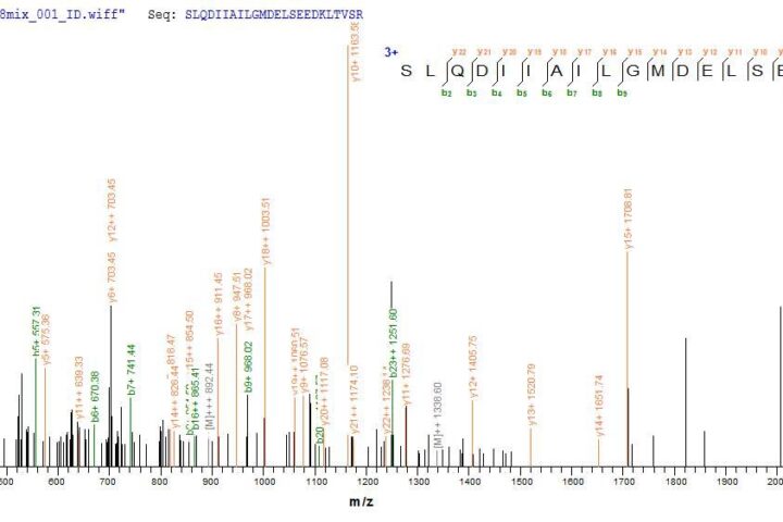 mitochondrial. These data demonstrate Greater than 90% as determined by SDS-PAGE.