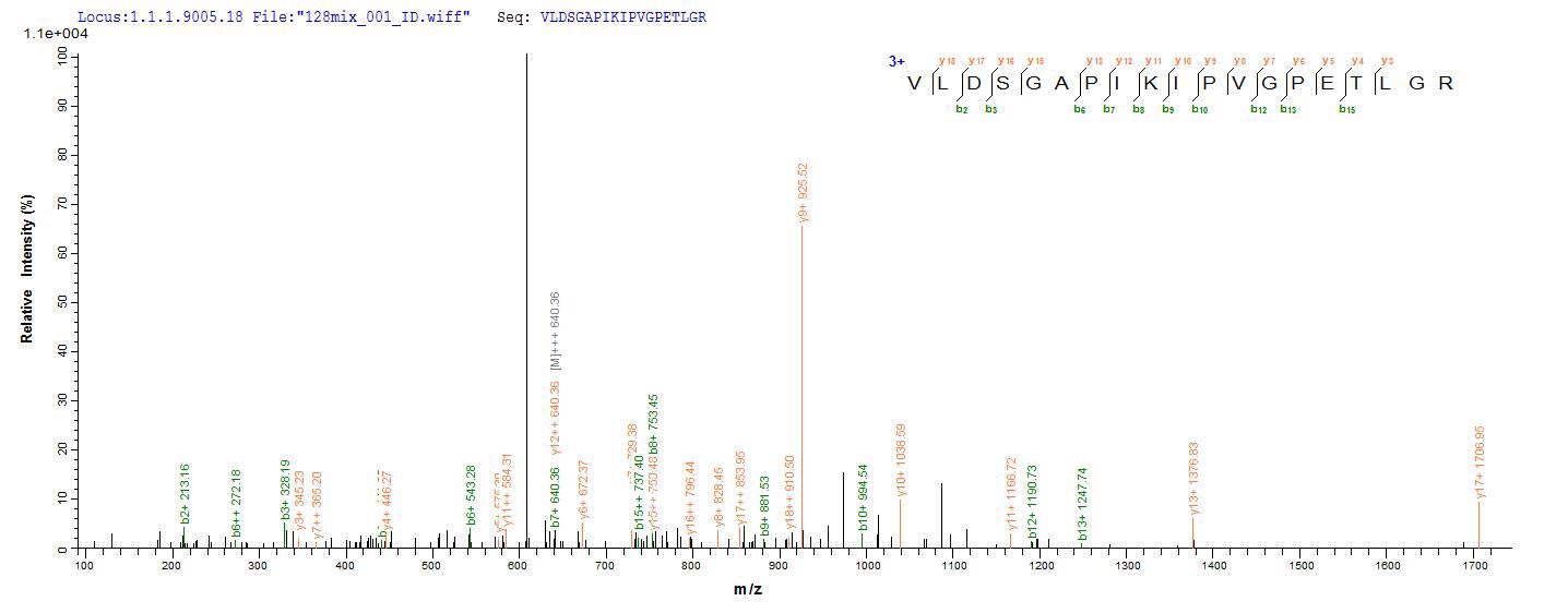 SEQUEST analysis of LC MS/MS spectra obtained from a run with QP5694 identified a match between this protein and the spectra of a peptide sequence that matches a region of ATP synthase subunit beta