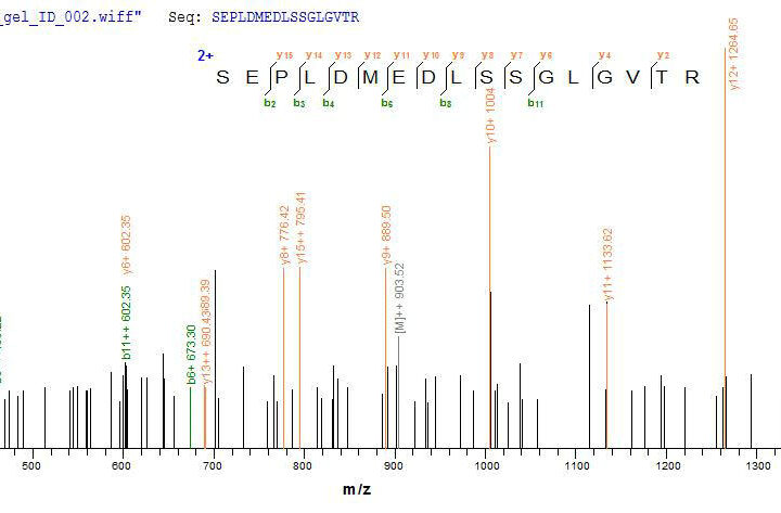 SEQUEST analysis of LC MS/MS spectra obtained from a run with QP5795 identified a match between this protein and the spectra of a peptide sequence that matches a region of CD74.