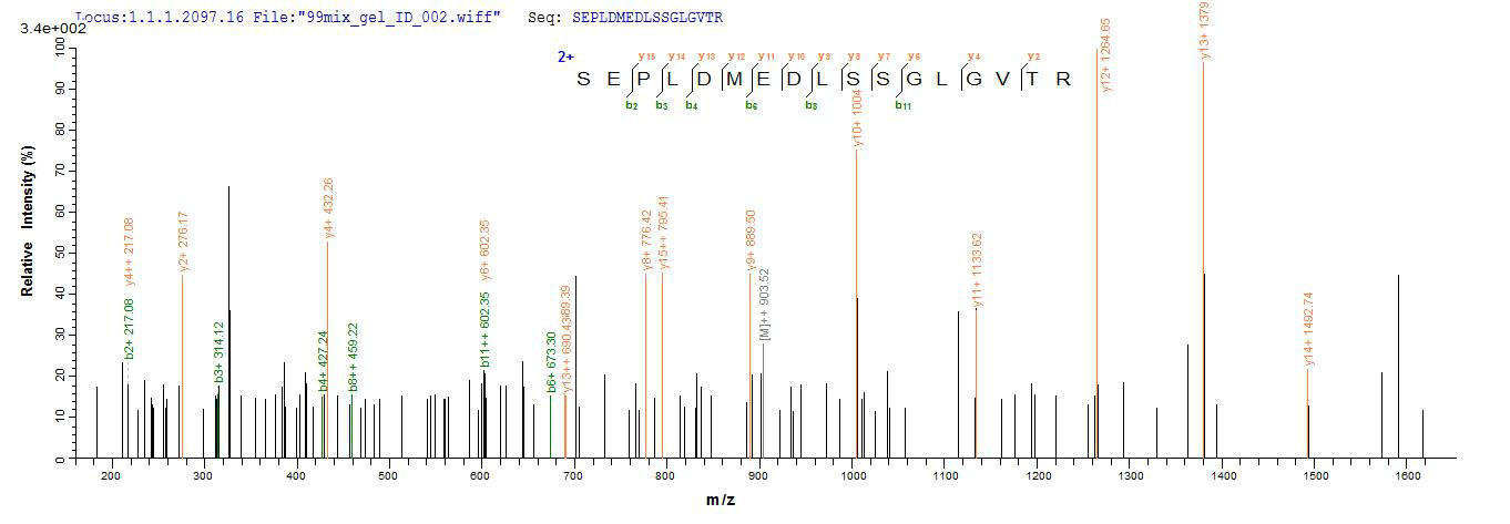 SEQUEST analysis of LC MS/MS spectra obtained from a run with QP5795 identified a match between this protein and the spectra of a peptide sequence that matches a region of CD74.