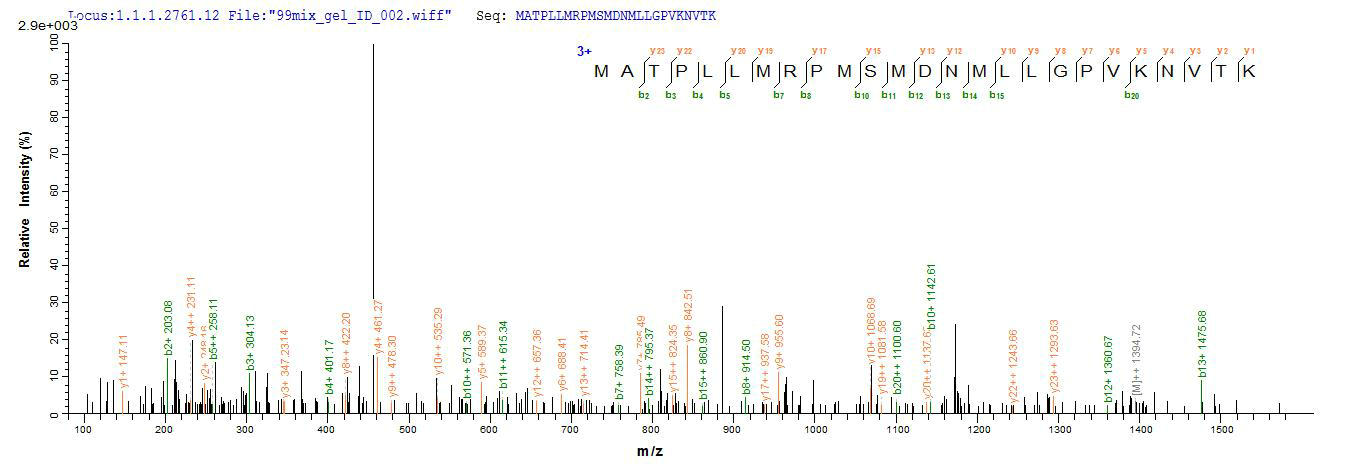 Additional SEQUEST analysis of the LC MS/MS spectra from QP5795 identified an additional between this protein and the spectra of another peptide sequence that matches a region of CD74 confirming successful recombinant synthesis.