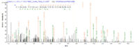 SEQUEST analysis of LC MS/MS spectra obtained from a run with QP5797 identified a match between this protein and the spectra of a peptide sequence that matches a region of CD81 / TAPA-1.