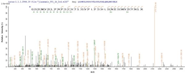 SEQUEST analysis of LC MS/MS spectra obtained from a run with QP5832 identified a match between this protein and the spectra of a peptide sequence that matches a region of Acetylcholine receptor subunit alpha.