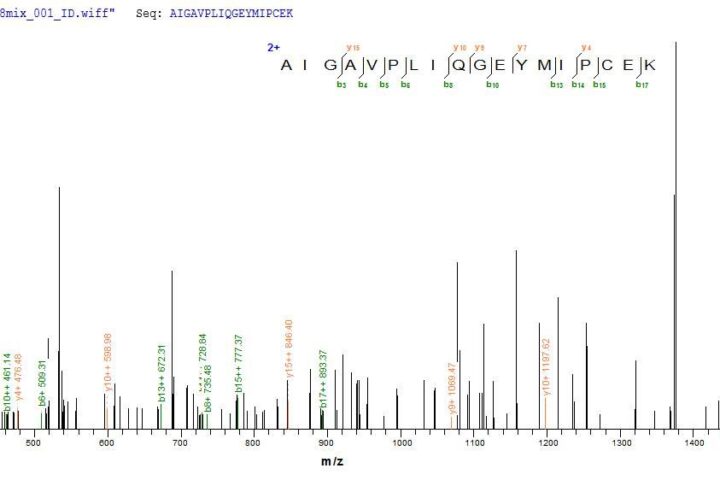 SEQUEST analysis of LC MS/MS spectra obtained from a run with QP5886 identified a match between this protein and the spectra of a peptide sequence that matches a region of Cathepsin D / CTSD.