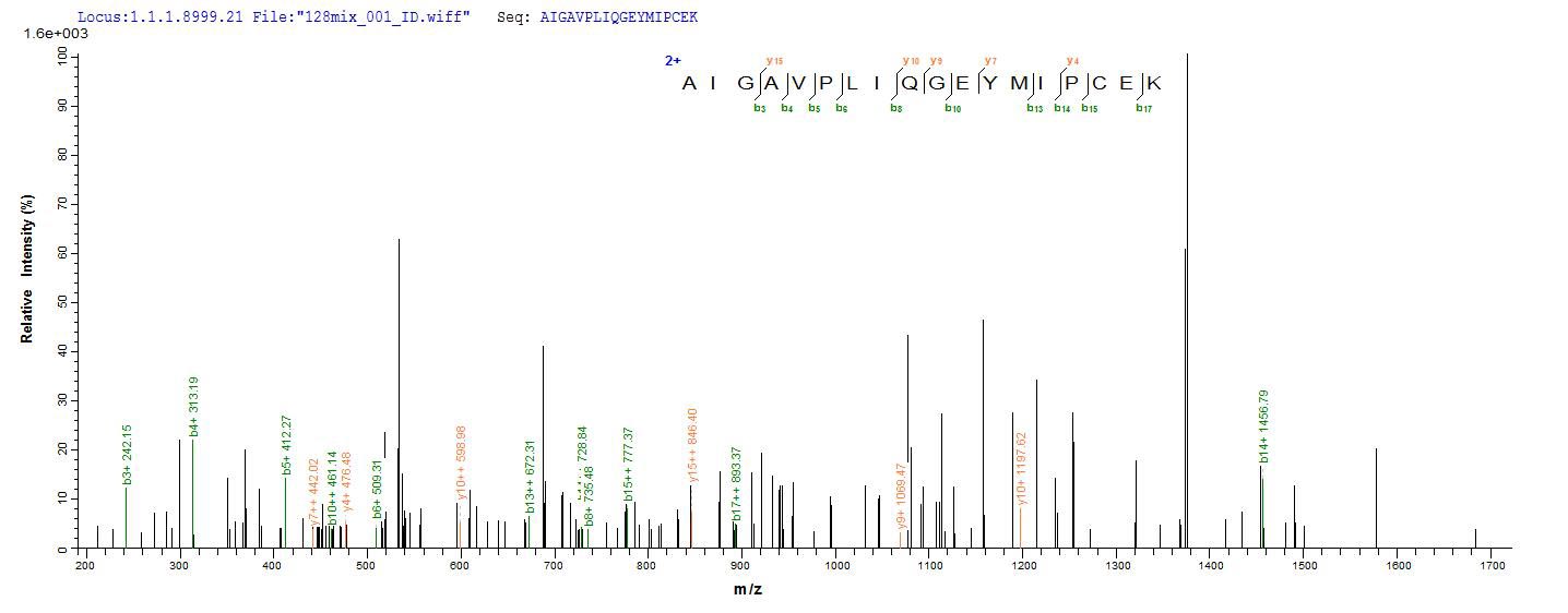 SEQUEST analysis of LC MS/MS spectra obtained from a run with QP5886 identified a match between this protein and the spectra of a peptide sequence that matches a region of Cathepsin D / CTSD.