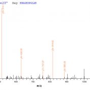 SEQUEST analysis of LC MS/MS spectra obtained from a run with QP5914 identified a match between this protein and the spectra of a peptide sequence that matches a region of Dermcidin / DCD.