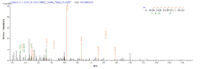 SEQUEST analysis of LC MS/MS spectra obtained from a run with QP5914 identified a match between this protein and the spectra of a peptide sequence that matches a region of Dermcidin / DCD.