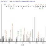 SEQUEST analysis of LC MS/MS spectra obtained from a run with QP6012 identified a match between this protein and the spectra of a peptide sequence that matches a region of Coagulation Factor VII / FVII / F7.