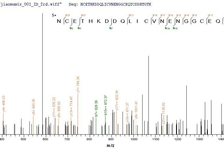 SEQUEST analysis of LC MS/MS spectra obtained from a run with QP6012 identified a match between this protein and the spectra of a peptide sequence that matches a region of Coagulation Factor VII / FVII / F7.
