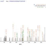 SEQUEST analysis of LC MS/MS spectra obtained from a run with QP6020 identified a match between this protein and the spectra of a peptide sequence that matches a region of FAP / Seprase.
