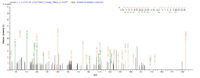 SEQUEST analysis of LC MS/MS spectra obtained from a run with QP6020 identified a match between this protein and the spectra of a peptide sequence that matches a region of FAP / Seprase.