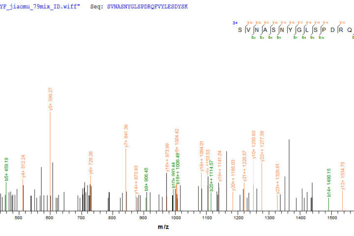 SEQUEST analysis of LC MS/MS spectra obtained from a run with QP6020 identified a match between this protein and the spectra of a peptide sequence that matches a region of FAP / Seprase.
