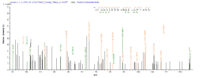 Additional SEQUEST analysis of the LC MS/MS spectra from QP6020 identified an additional between this protein and the spectra of another peptide sequence that matches a region of FAP / Seprase confirming successful recombinant synthesis.