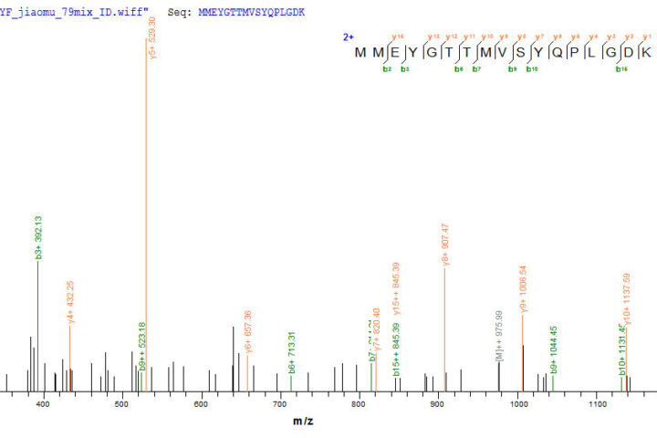 SEQUEST analysis of LC MS/MS spectra obtained from a run with QP6062 identified a match between this protein and the spectra of a peptide sequence that matches a region of GAD65 / GAD2.