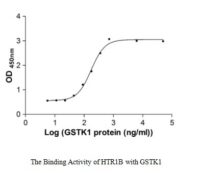 SEQUEST analysis of LC MS/MS spectra obtained from a run with QP6125 identified a match between this protein and the spectra of a peptide sequence that matches a region of Glutathione S-transferase kappa 1.