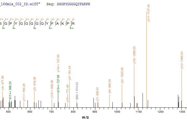 SEQUEST analysis of LC MS/MS spectra obtained from a run with QP6173 identified a match between this protein and the spectra of a peptide sequence that matches a region of Heterogeneous nuclear ribonucleoprotein A1.