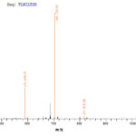 SEQUEST analysis of LC MS/MS spectra obtained from a run with QP6224 identified a match between this protein and the spectra of a peptide sequence that matches a region of IL4 / Interleukin-4.