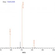 SEQUEST analysis of LC MS/MS spectra obtained from a run with QP6224 identified a match between this protein and the spectra of a peptide sequence that matches a region of IL4 / Interleukin-4.