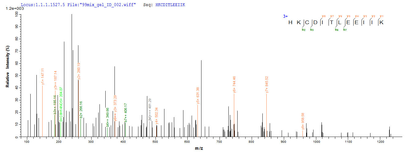 Additional SEQUEST analysis of the LC MS/MS spectra from QP6224 identified an additional between this protein and the spectra of another peptide sequence that matches a region of IL4 / Interleukin-4 confirming successful recombinant synthesis.