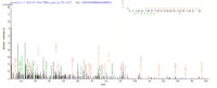 Additional SEQUEST analysis of the LC MS/MS spectra from QP6363 identified an additional between this protein and the spectra of another peptide sequence that matches a region of MKI67 confirming successful recombinant synthesis.