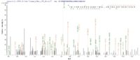 SEQUEST analysis of LC MS/MS spectra obtained from a run with QP6432 identified a match between this protein and the spectra of a peptide sequence that matches a region of Atrial natriuretic peptide receptor 2.