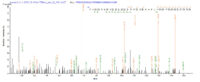 SEQUEST analysis of LC MS/MS spectra obtained from a run with QP6564 identified a match between this protein and the spectra of a peptide sequence that matches a region of Glutaminyl cyclase / QPCT.