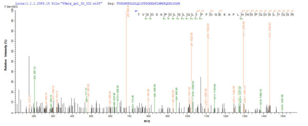 SEQUEST analysis of LC MS/MS spectra obtained from a run with QP6564 identified a match between this protein and the spectra of a peptide sequence that matches a region of Glutaminyl cyclase / QPCT.