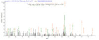 Additional SEQUEST analysis of the LC MS/MS spectra from QP6564 identified an additional between this protein and the spectra of another peptide sequence that matches a region of Glutaminyl cyclase / QPCT confirming successful recombinant synthesis.