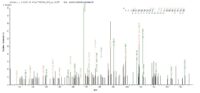 SEQUEST analysis of LC MS/MS spectra obtained from a run with QP6788 identified a match between this protein and the spectra of a peptide sequence that matches a region of Thyroid hormone receptor beta.