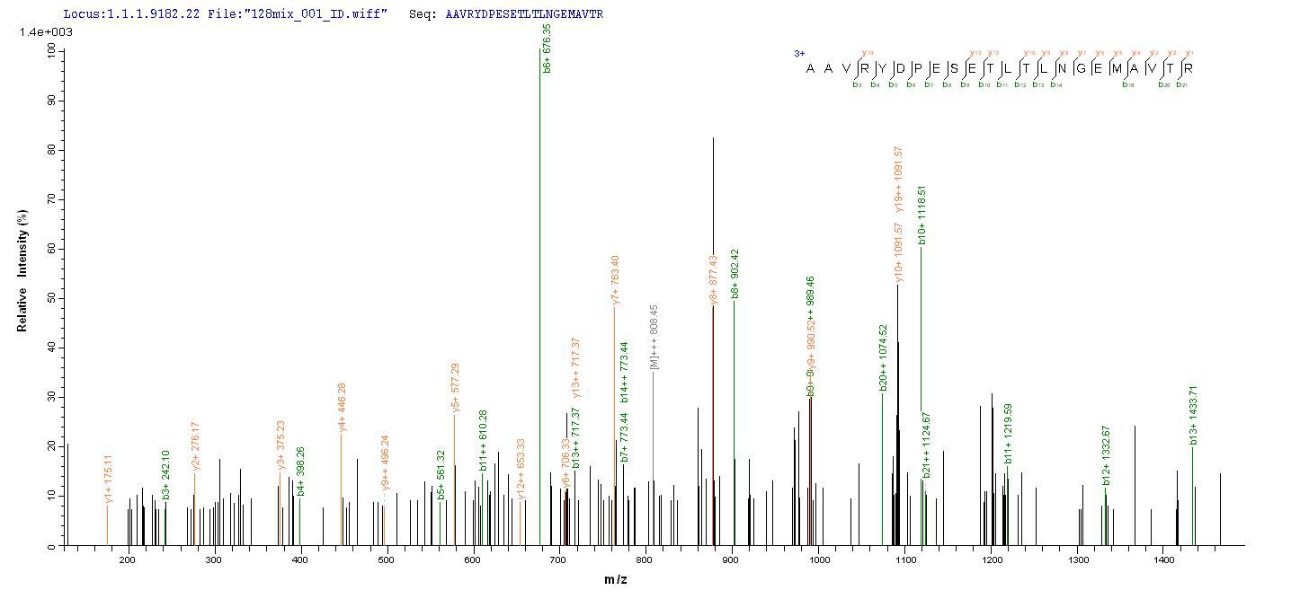 SEQUEST analysis of LC MS/MS spectra obtained from a run with QP6788 identified a match between this protein and the spectra of a peptide sequence that matches a region of Thyroid hormone receptor beta.