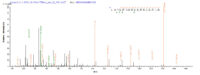 SEQUEST analysis of LC MS/MS spectra obtained from a run with QP6800 identified a match between this protein and the spectra of a peptide sequence that matches a region of TLR2 / CD282.